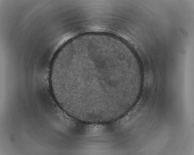 X0000112061314200908251012