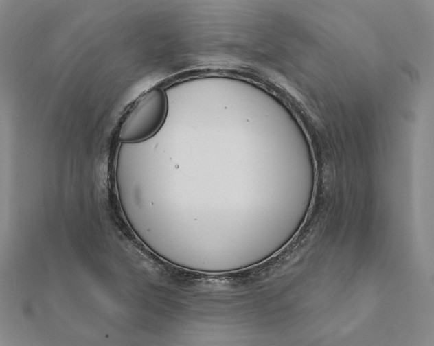 X0000112061315200908251012