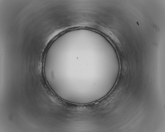 X0000112061316200908251012