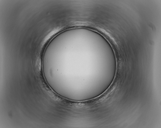 X0000112061317200908251012