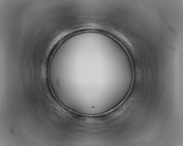 X0000112061318200908251012