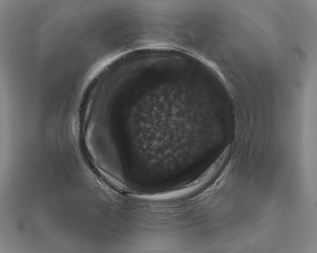 X0000112061319200908251012