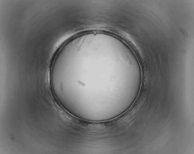 X0000112061320200908251012