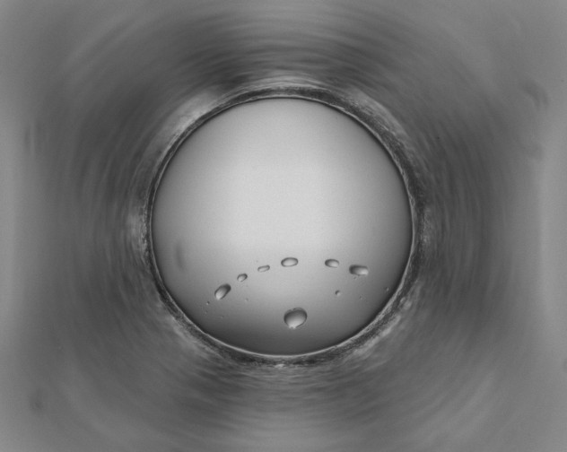 X0000112061321200908251012