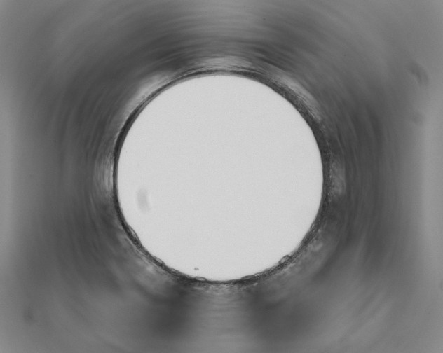 X0000112061322200908251012