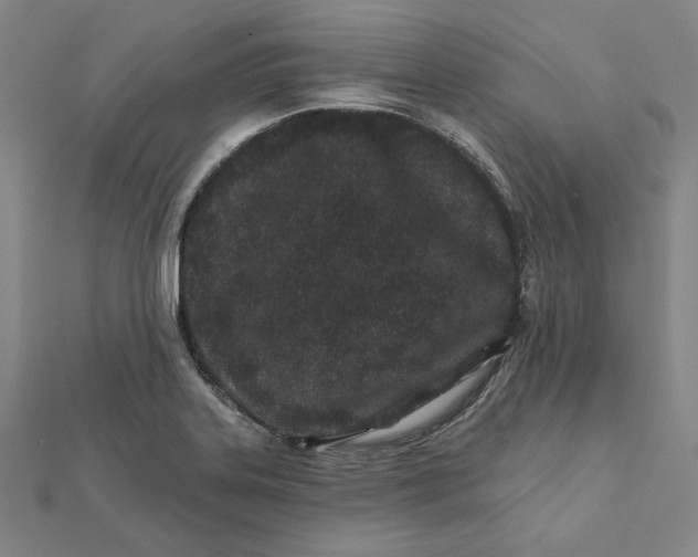 X0000112061323200908251012