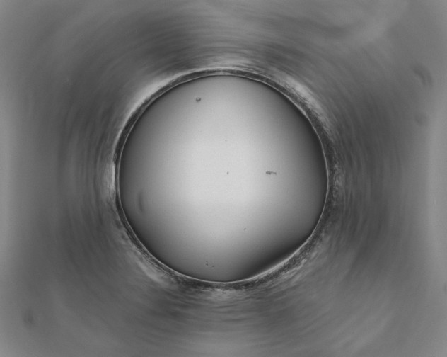 X0000112061324200908251012