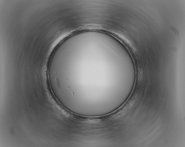 X0000112061325200908251012