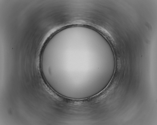 X0000112061326200908251012