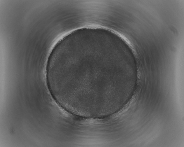 X0000112061327200908251012