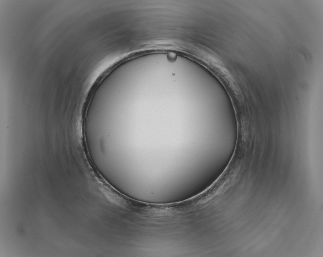 X0000112061328200908251012