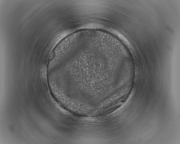 X0000112061329200908251012