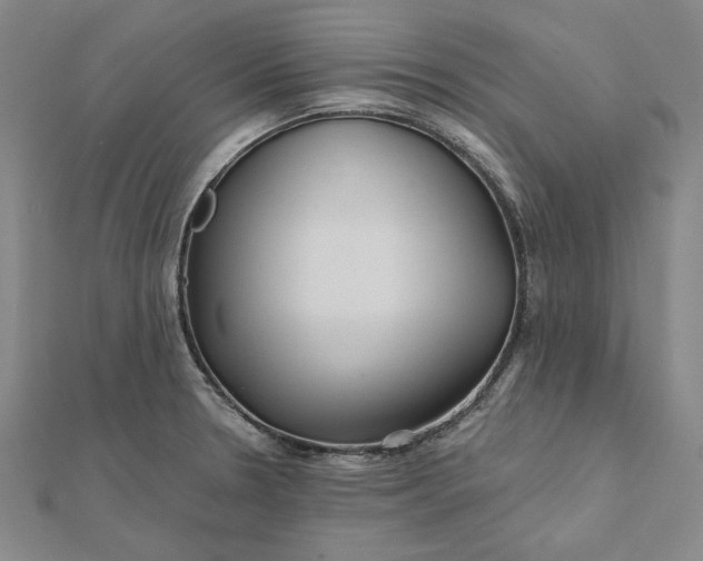 X0000112061330200908251012