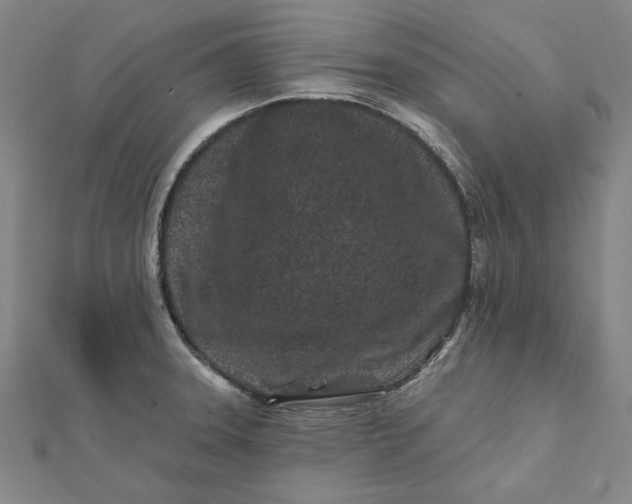 X0000112061331200908251012