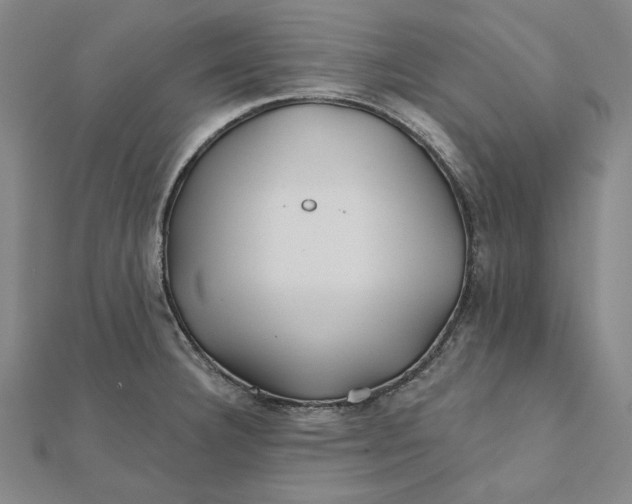 X0000112061332200908251012