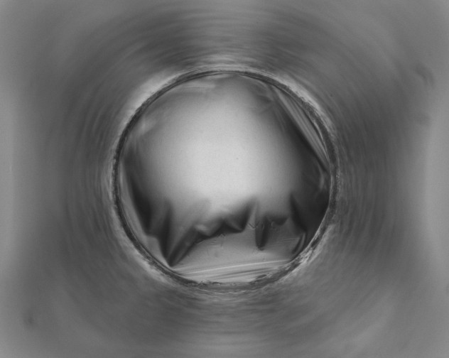 X0000112061333200908251012