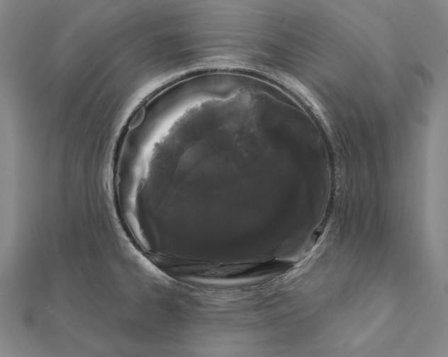 X0000112061334200908251012