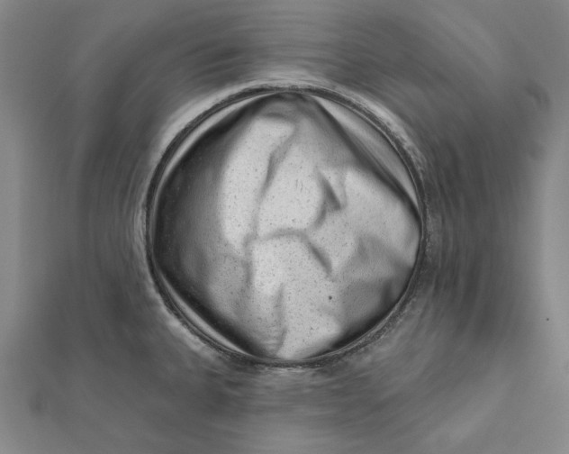 X0000112061335200908251012