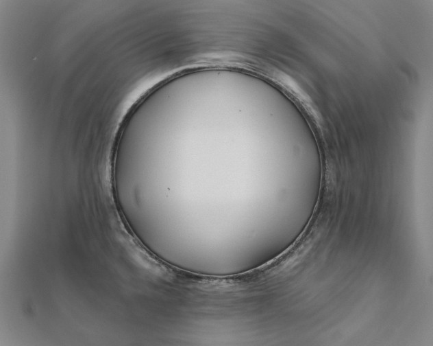 X0000112061336200908251012