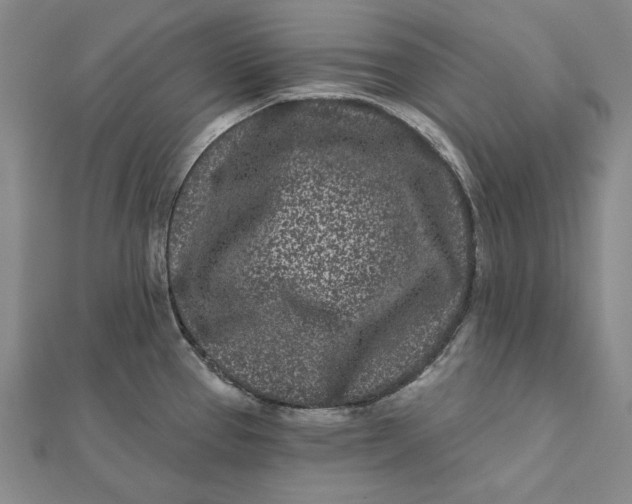 X0000112061337200908251012