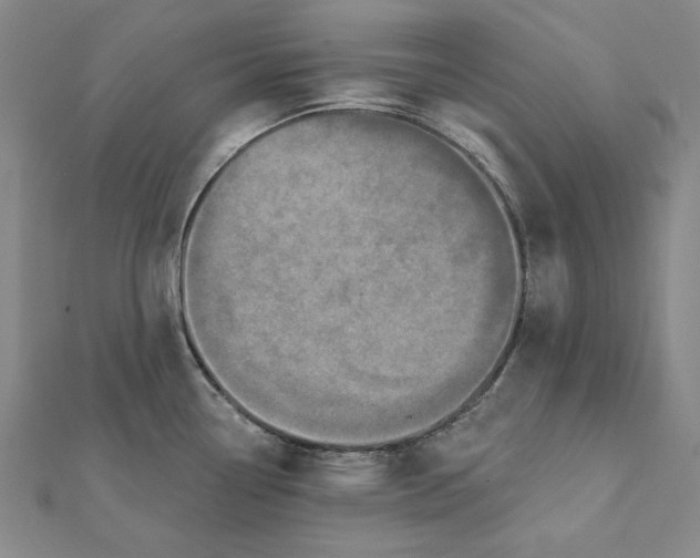 X0000112061338200908251012