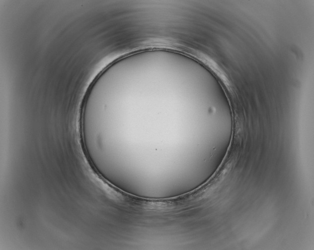 X0000112061339200908251012