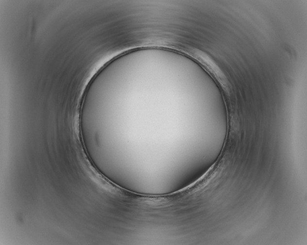 X0000112061340200908251012