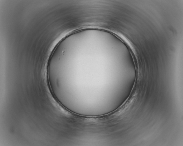 X0000112061341200908251012