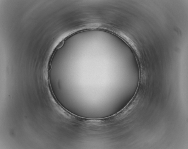 X0000112061342200908251012