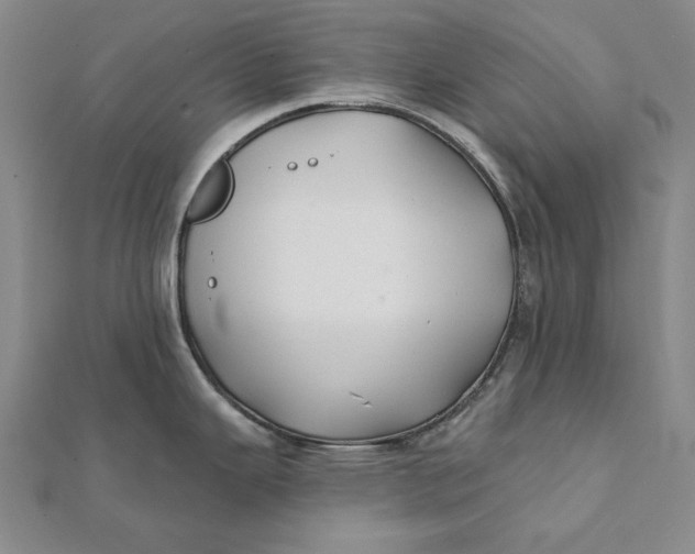 X0000112061343200908251012