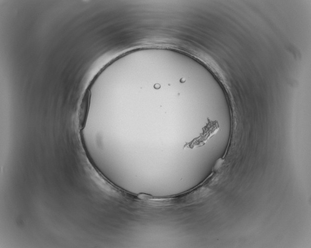 X0000112061344200908251012