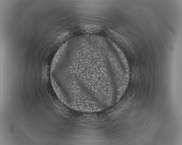 X0000112061346200908251011