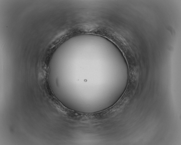 X0000112061349200908251011