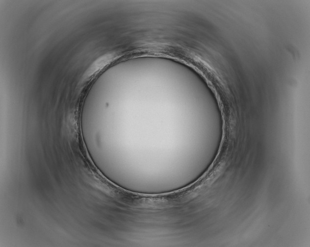 X0000112061354200908251011