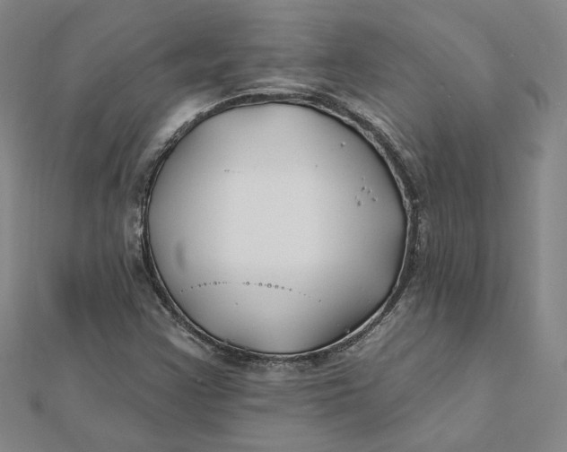 X0000112061355200908251011