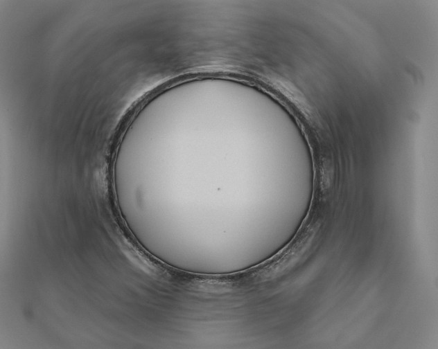 X0000112061356200908251011