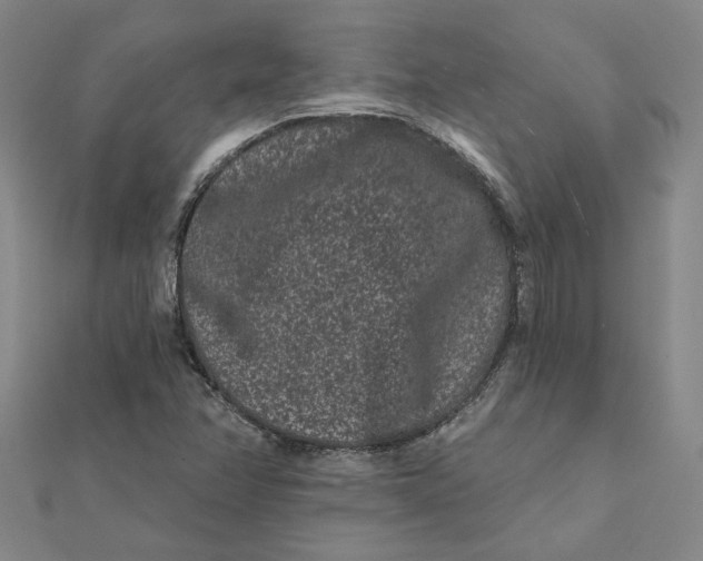 X0000112061358200908251011