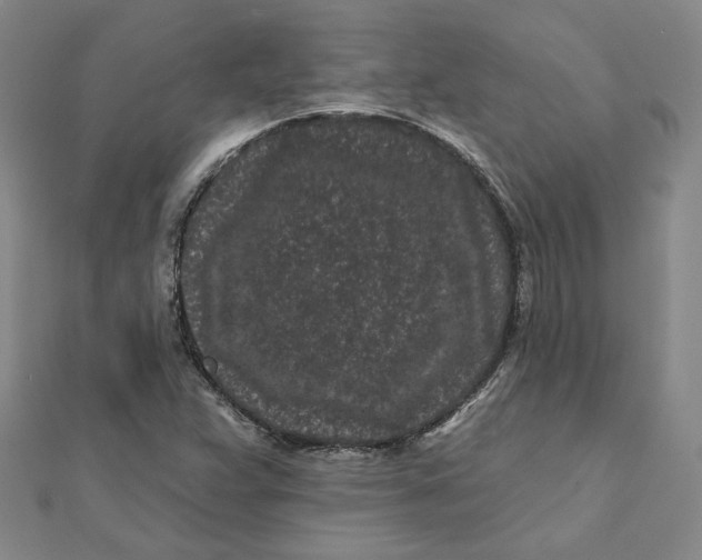 X0000112061359200908251011