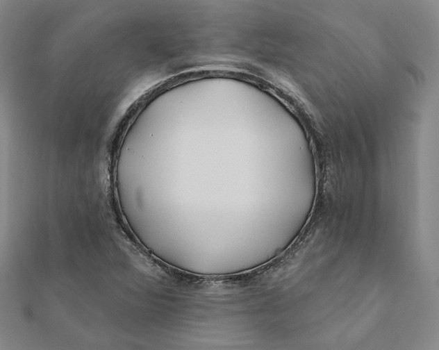 X0000112061360200908251011