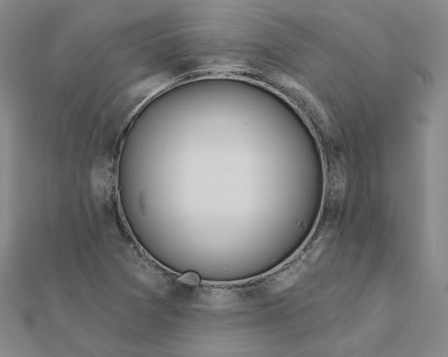 X0000112061361200908251011