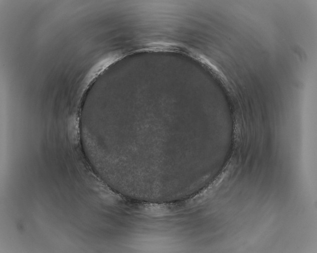 X0000112061362200908251011