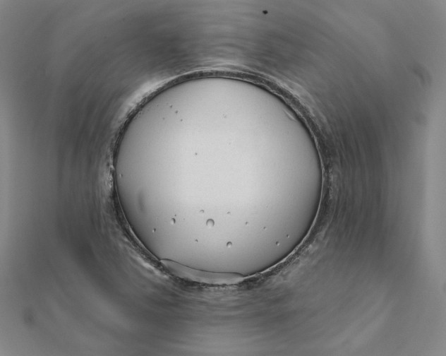 X0000112061363200908251011