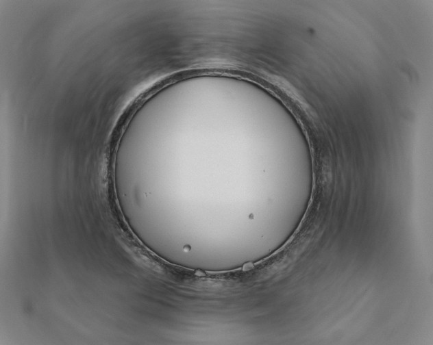 X0000112061364200908251011