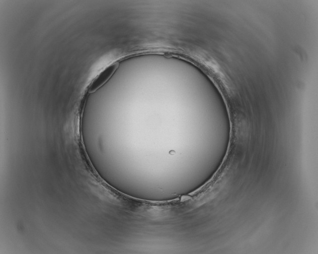 X0000112061365200908251011