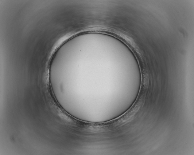 X0000112061366200908251011