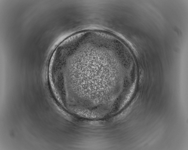 X0000112061367200908251011