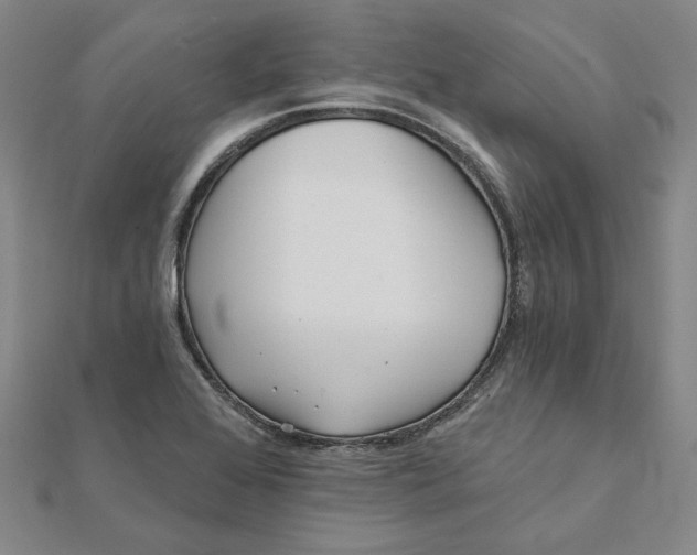 X0000112061368200908251011