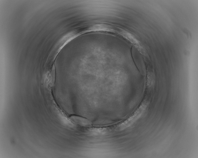 X0000112061369200908251011