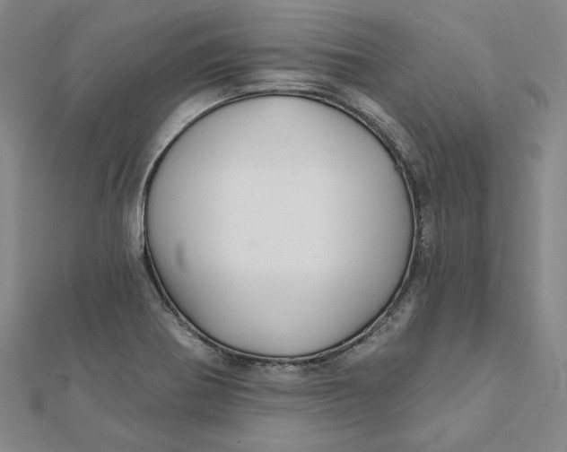 X0000112061370200908251011