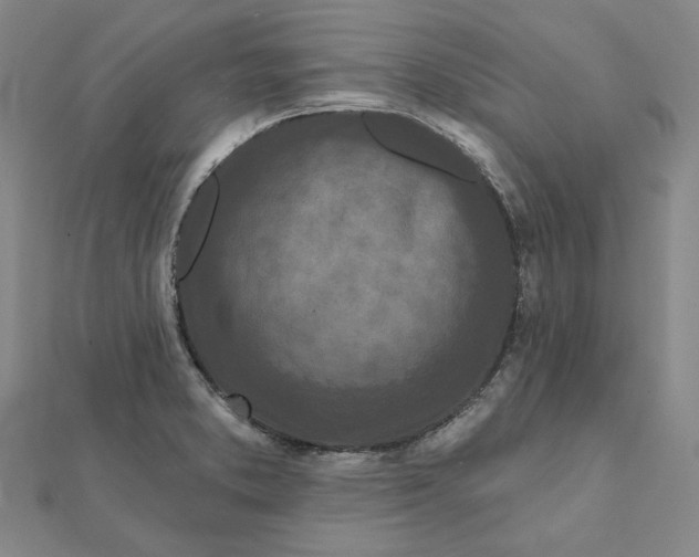 X0000112061373200908251011